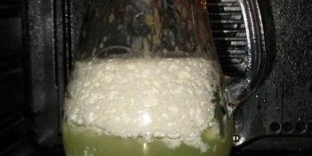 домашний творог и сыворотка