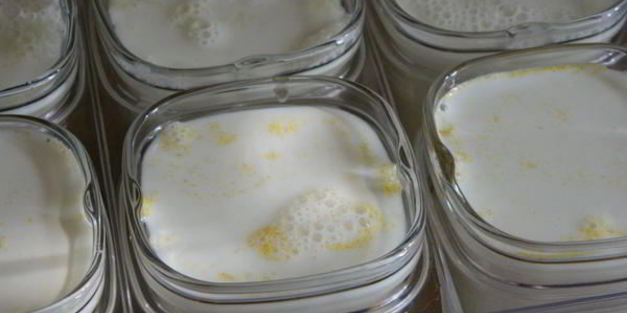 йогурт с мандаринами и киви в йогуртнице