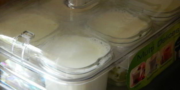 йогурт с мандаринами и киви в йогуртнице