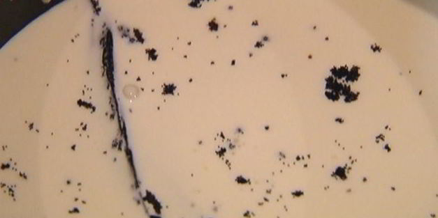 бисквит с клубникой и сливочным кремом