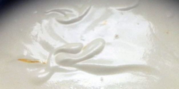 блинная лазанья с лисичками и творожным кремом