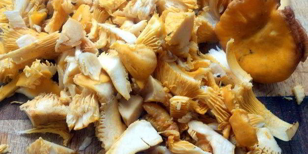 блинная лазанья с лисичками и творожным кремом