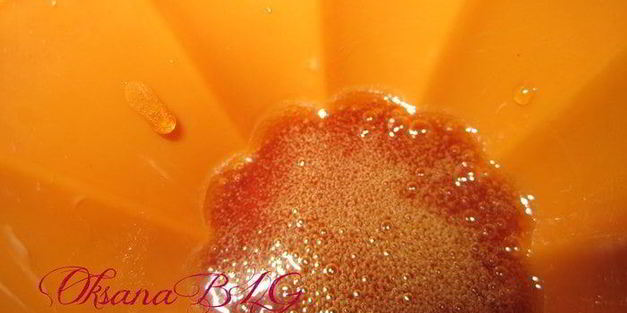 десерт крем-карамель