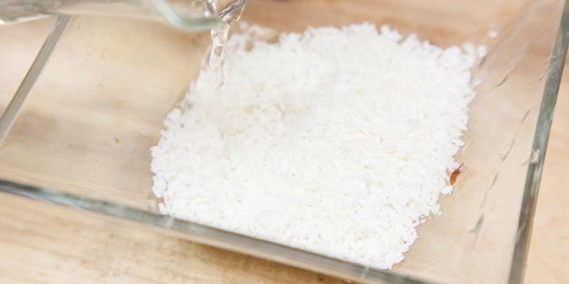 мороженое из авокадо