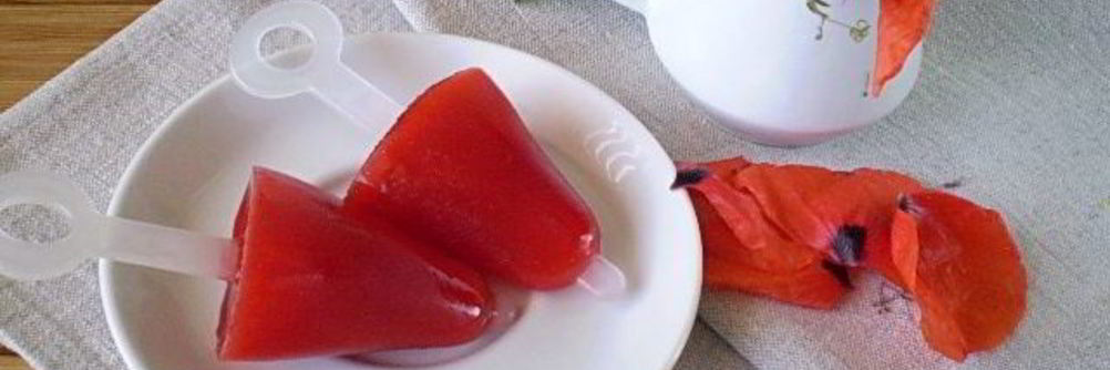 Мороженое из сока