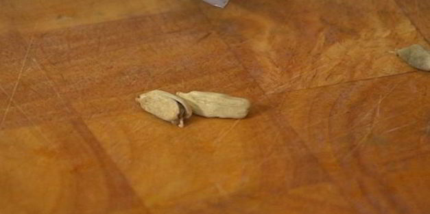 мороженое с карамелизированными абрикосами