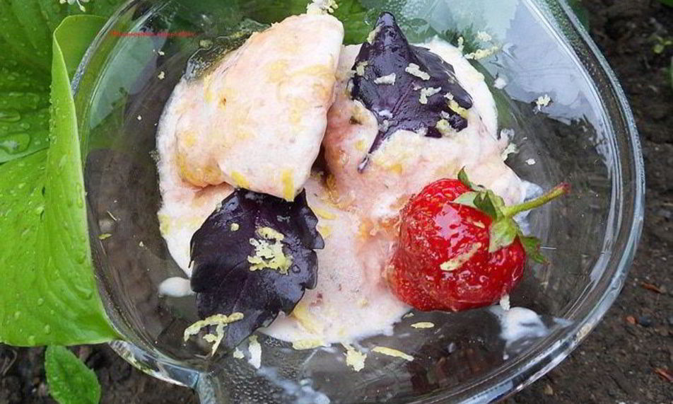 Рецепт мороженое с клубникой, базиликом и лимонной карамелью