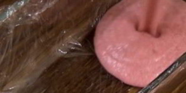 мороженое семифредо с клубникой