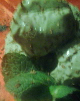 Мятно-шоколадное мороженое