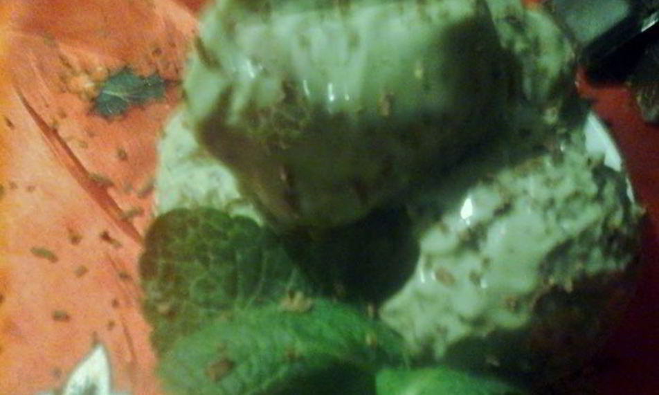 Рецепт мятно-шоколадное мороженое