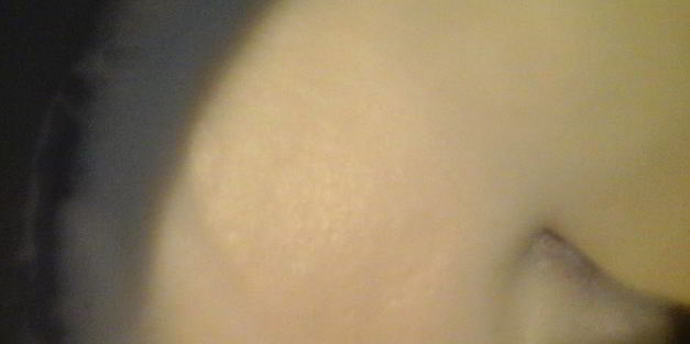 мятно-шоколадное мороженое