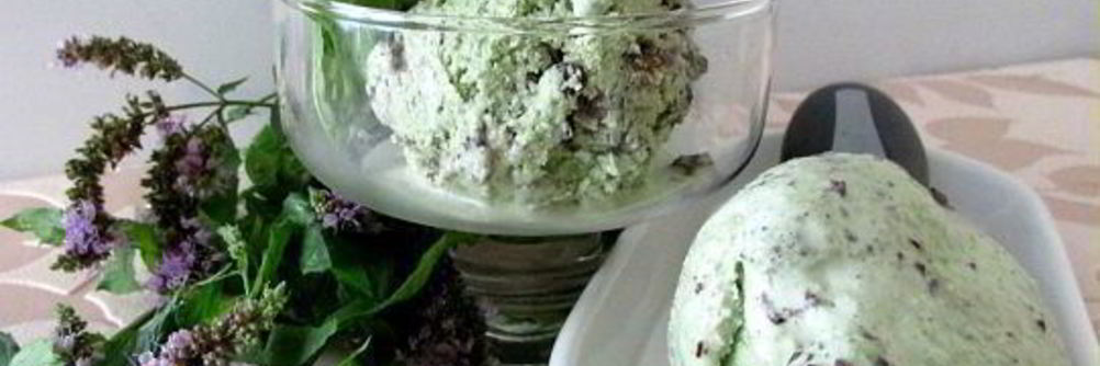 Мятное мороженое с кусочками шоколада