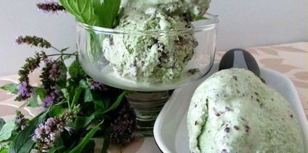 мятное мороженое с кусочками шоколада