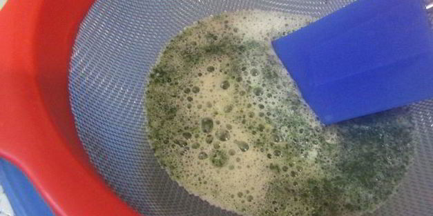 мятное мороженое с кусочками шоколада