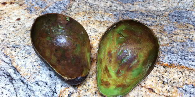 шоколадное мороженое c авокадо