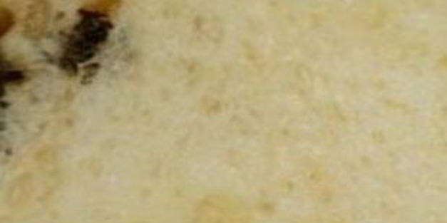 домашний праздничный куличи