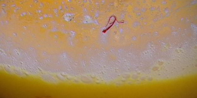 куличи с цукатами и изюмом