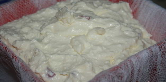 сырая творожная пасха с цукатами и вяленой вишней