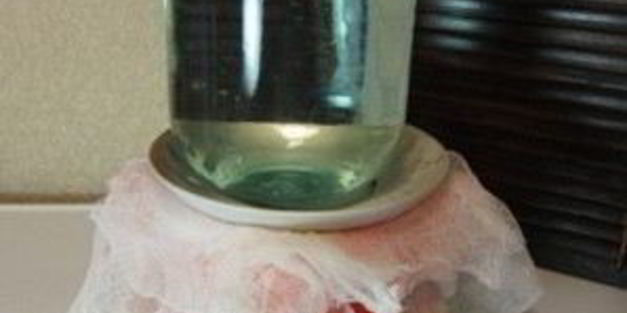 творожная пасха фисташковая