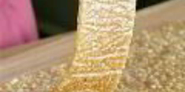 яблочная пастила