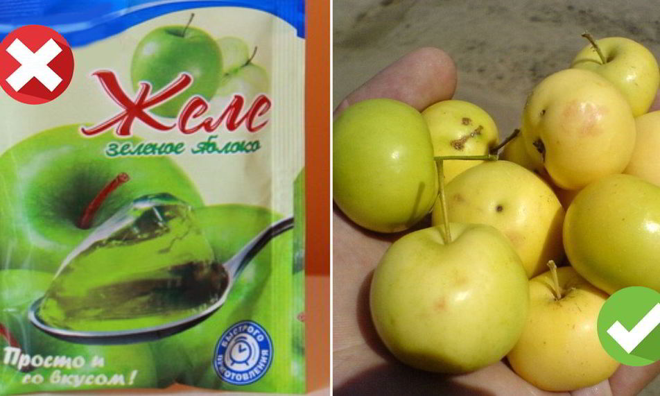 Рецепт яблочное желе