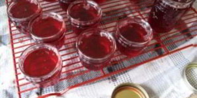 желе из брусники