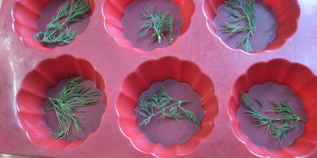 желе закусочное