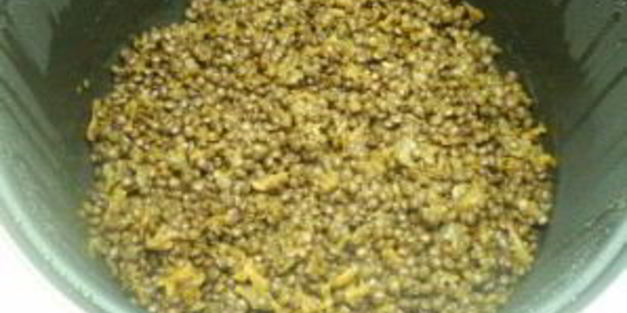 гарнир из чечевицы