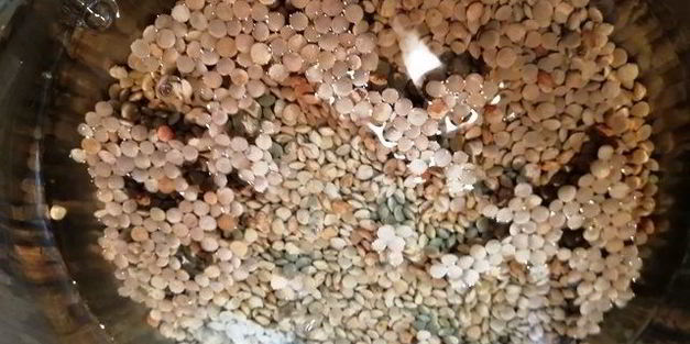 чечевица с лисичками и жареным адыгейским сыром