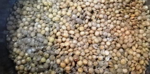 чечевица с лисичками и жареным адыгейским сыром