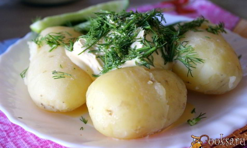 Рецепт молодой картофель со сметаной и зеленью