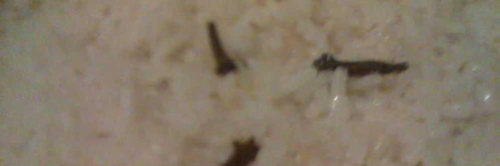 Рис басмати по-турецки