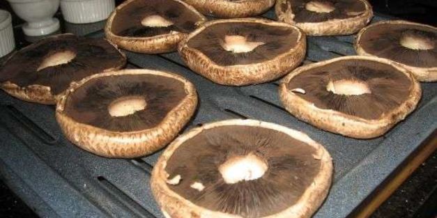 грибы запеченные с сыром