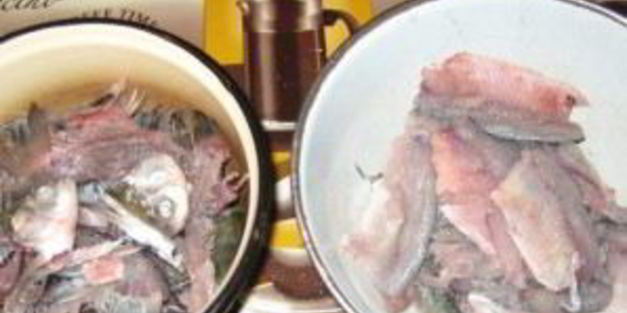 котлеты из красноперки