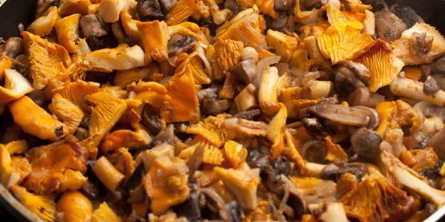 лазанья с грибами