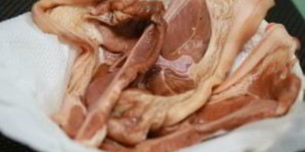 корейка на гриле