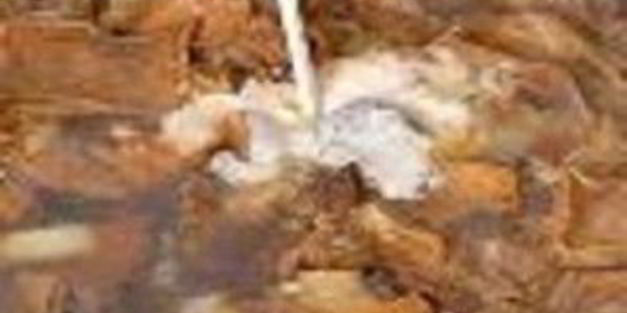 куриные грудки с грибами в меду