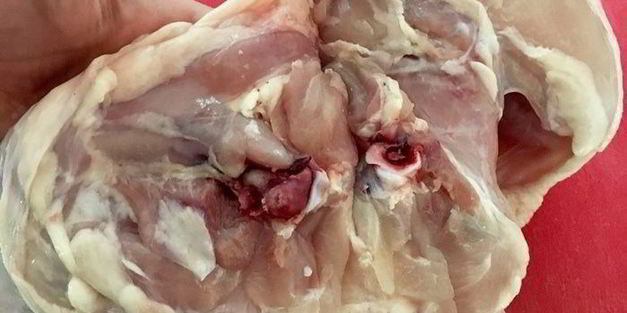 куриные ножки, фаршированные рисом и черносливом