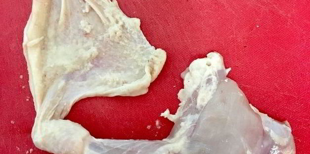 куриные ножки, фаршированные рисом и черносливом