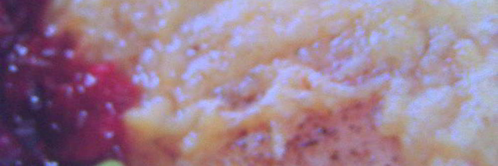 Курица с клюквой