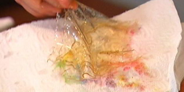 террин из кролика с курагой