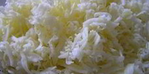 кабачки под орехово-мятным соусом