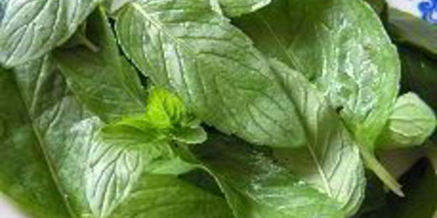 кабачки под орехово-мятным соусом