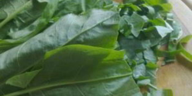 щавель с тушенкой