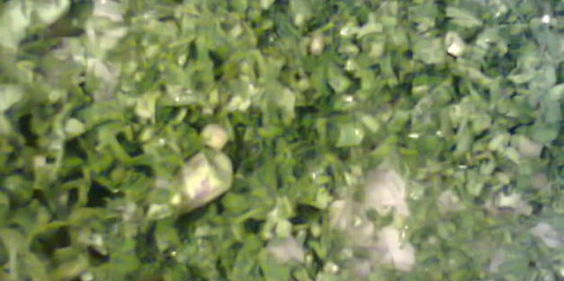 стручковая фасоль с зеленью