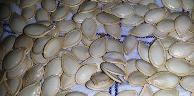 тыква, фаршированная мясом, рисом и овощами