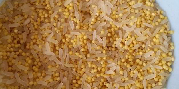 мультиплов