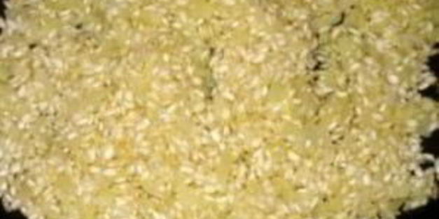 паэлья с мидиями