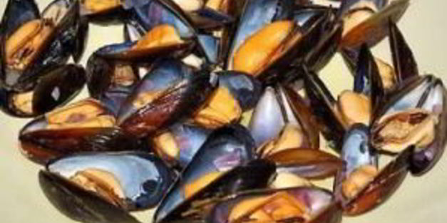 паэлья с мидиями