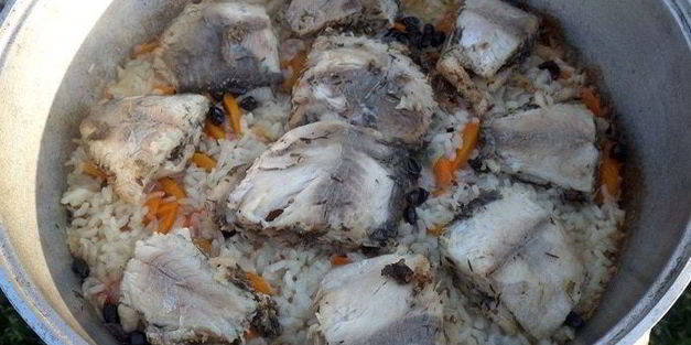 плов дачный с карпом